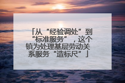 从“经验调处”到“标准服务”，这个镇为处理基层劳动关系服务“造标尺”